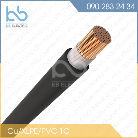 Đại lý cáp điện Ls – Vina